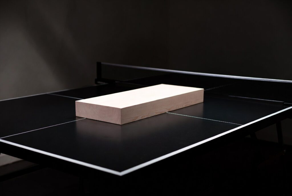 Ayous Mamba Blades Bois de tennis de table